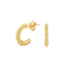 Afbeelding in Gallery-weergave laden, Earrings Royal Majestic Gold