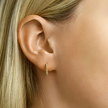 Afbeelding in Gallery-weergave laden, Earrings Royal Majestic Gold
