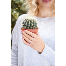 Afbeelding in Gallery-weergave laden, Ring Lobelia