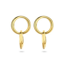 Afbeelding in Gallery-weergave laden, Earrings Micron Gold
